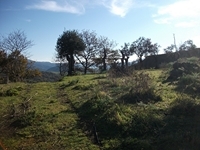 Monte_Mojo - 30122011 010.jpg
